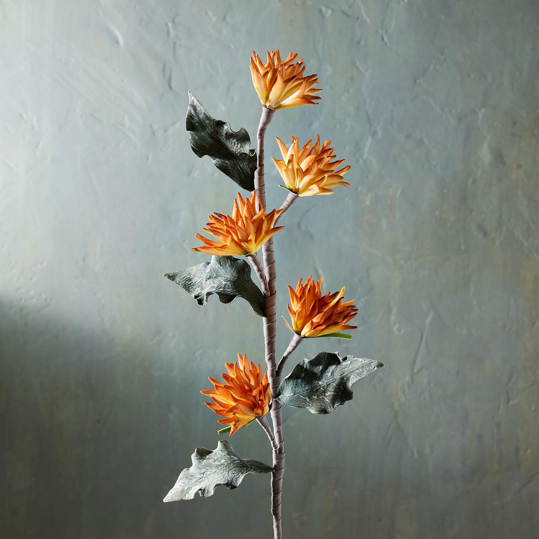 Bountiful Botanicals