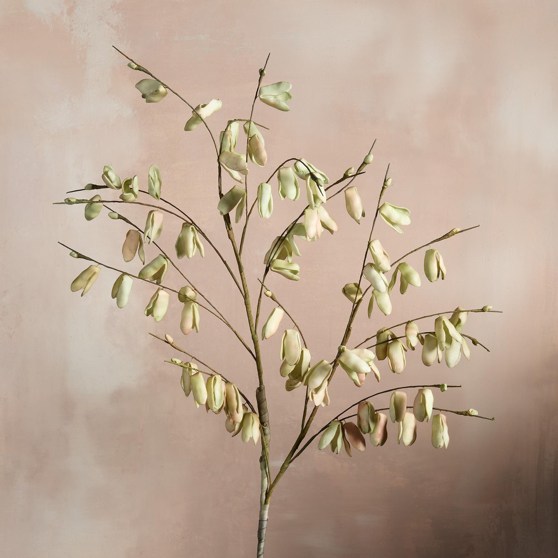 Bountiful Botanicals