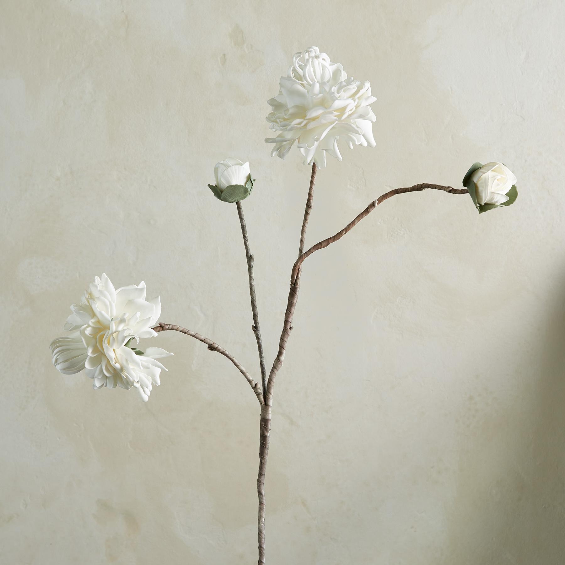 Bountiful Botanicals