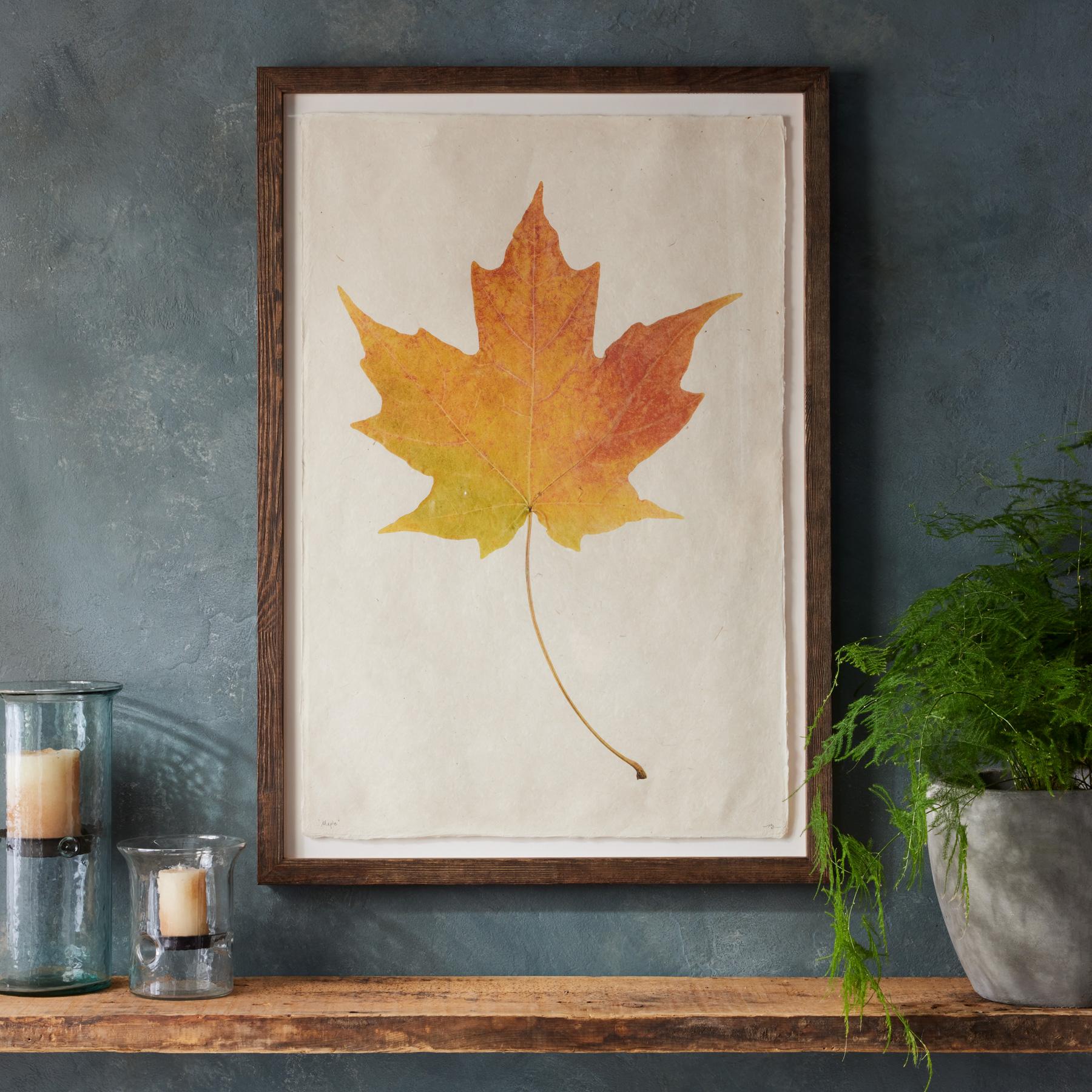 Leaf Studies Print