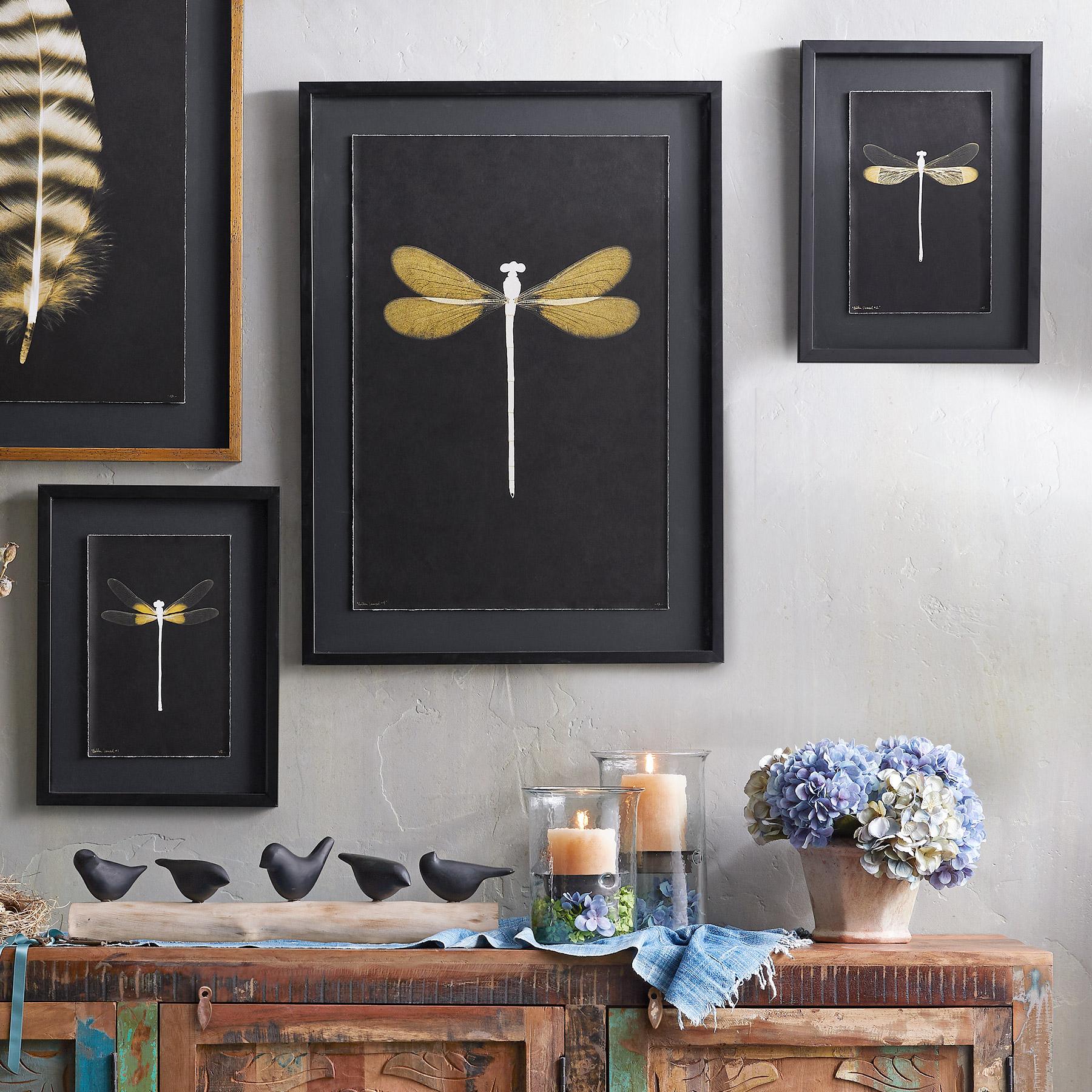 Golden Damselfly Negatives Print