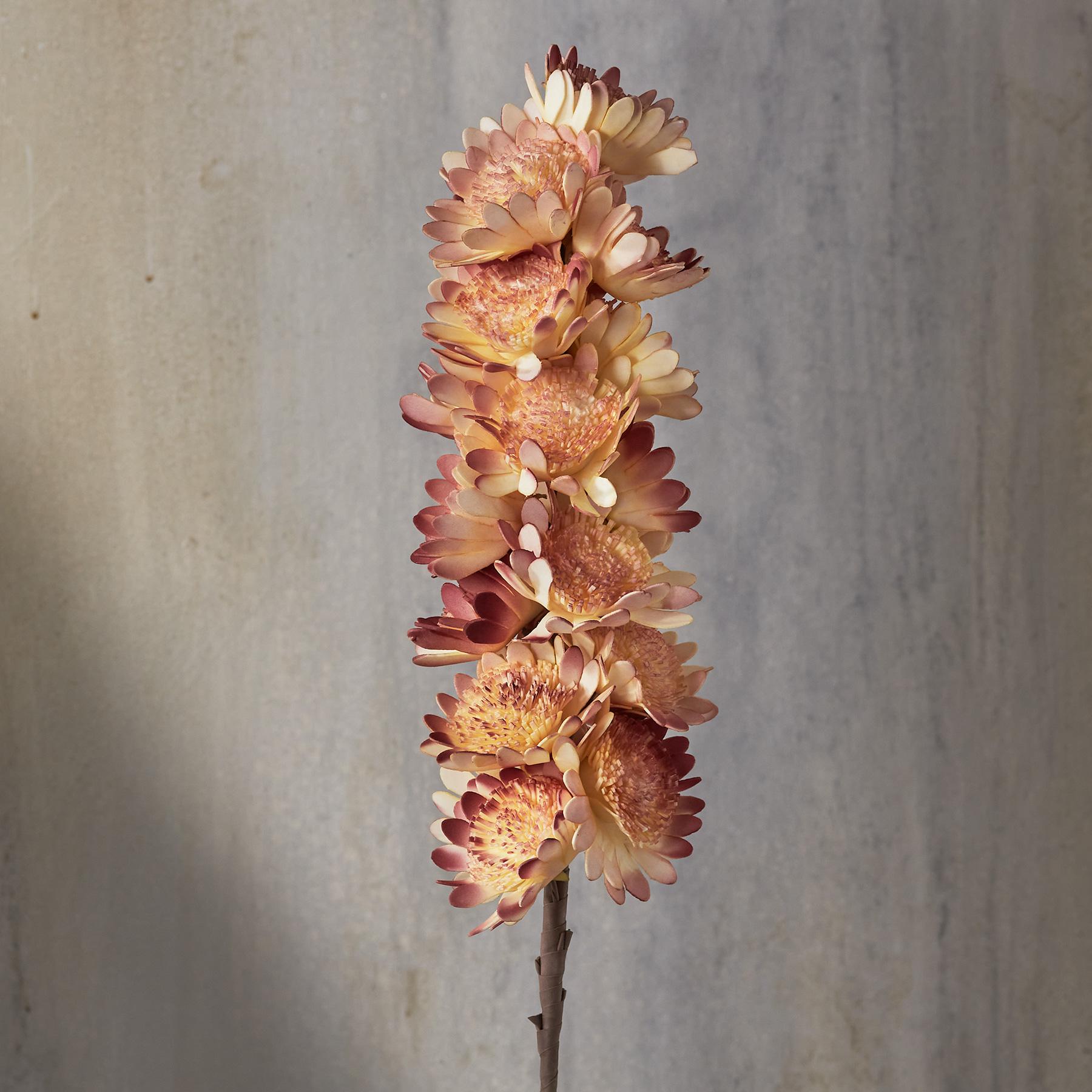 Bountiful Botanicals