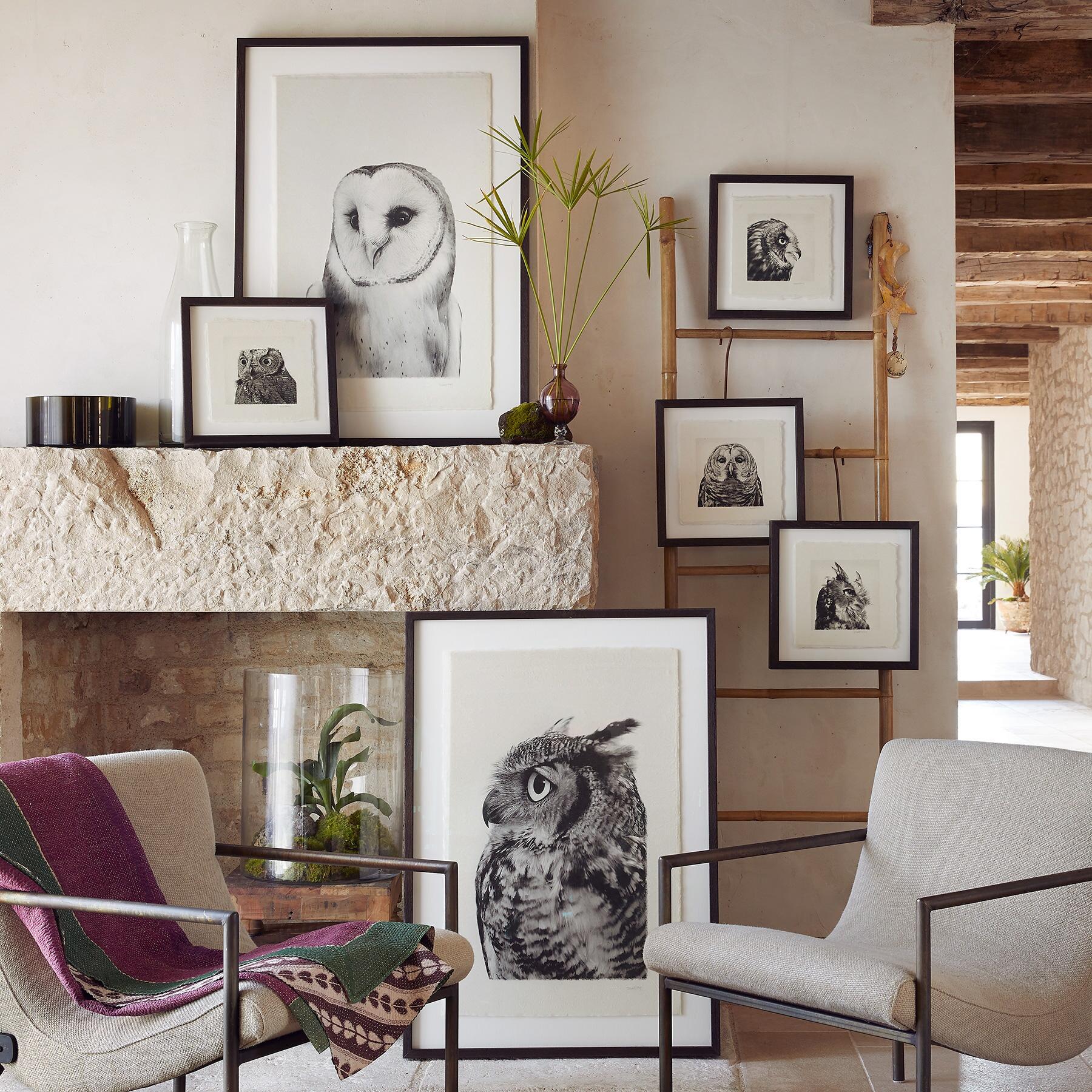 Owl Prints