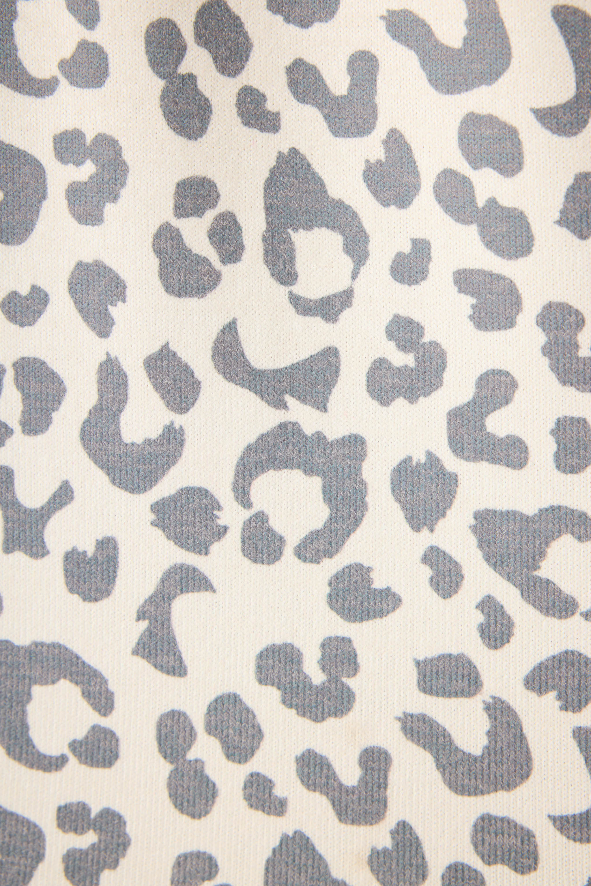 Life In Leopard V-Neck Long Sleeve Top