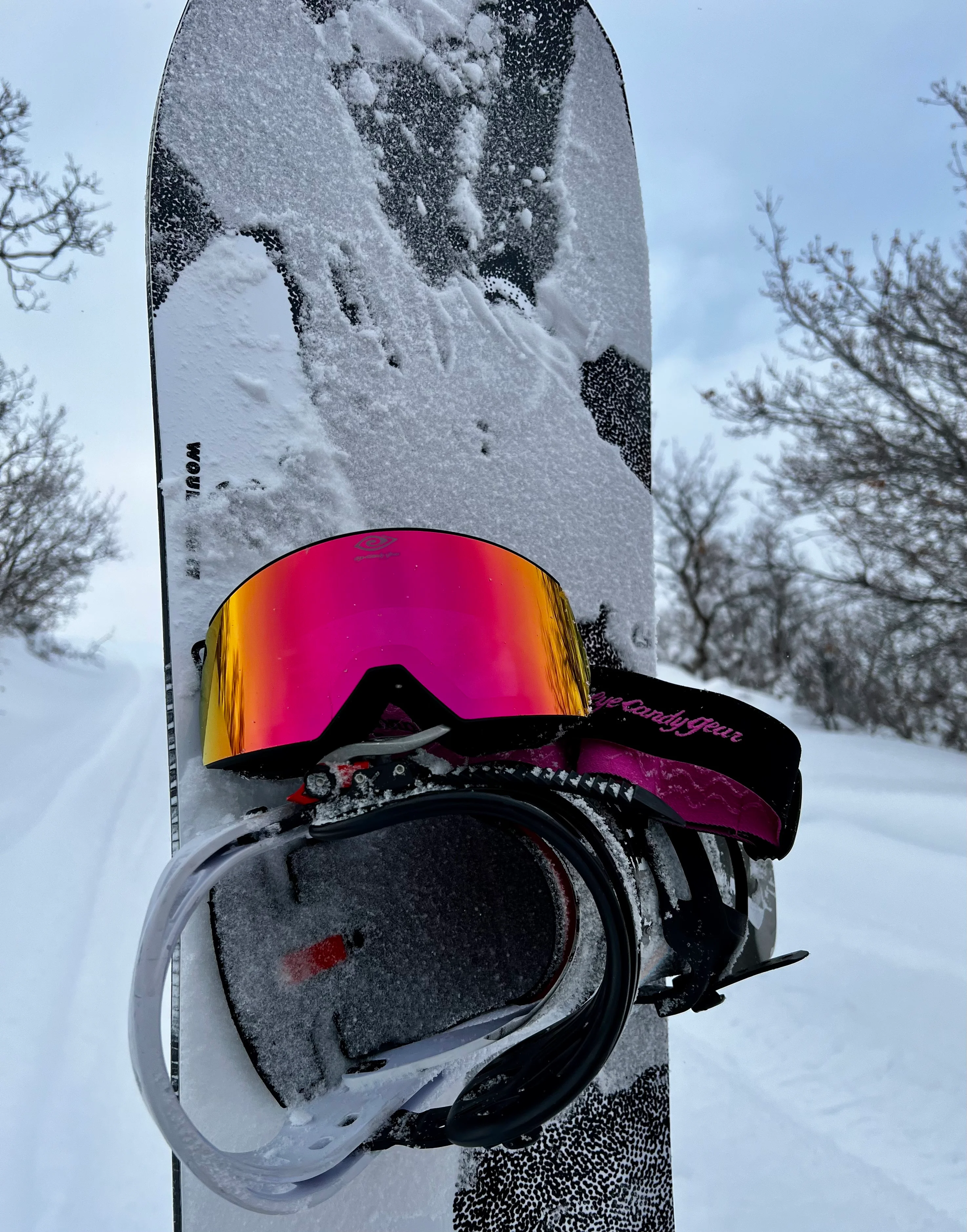 Ruby Rippers - Magnetized Snow Goggles - (Interchangeable Lenses)