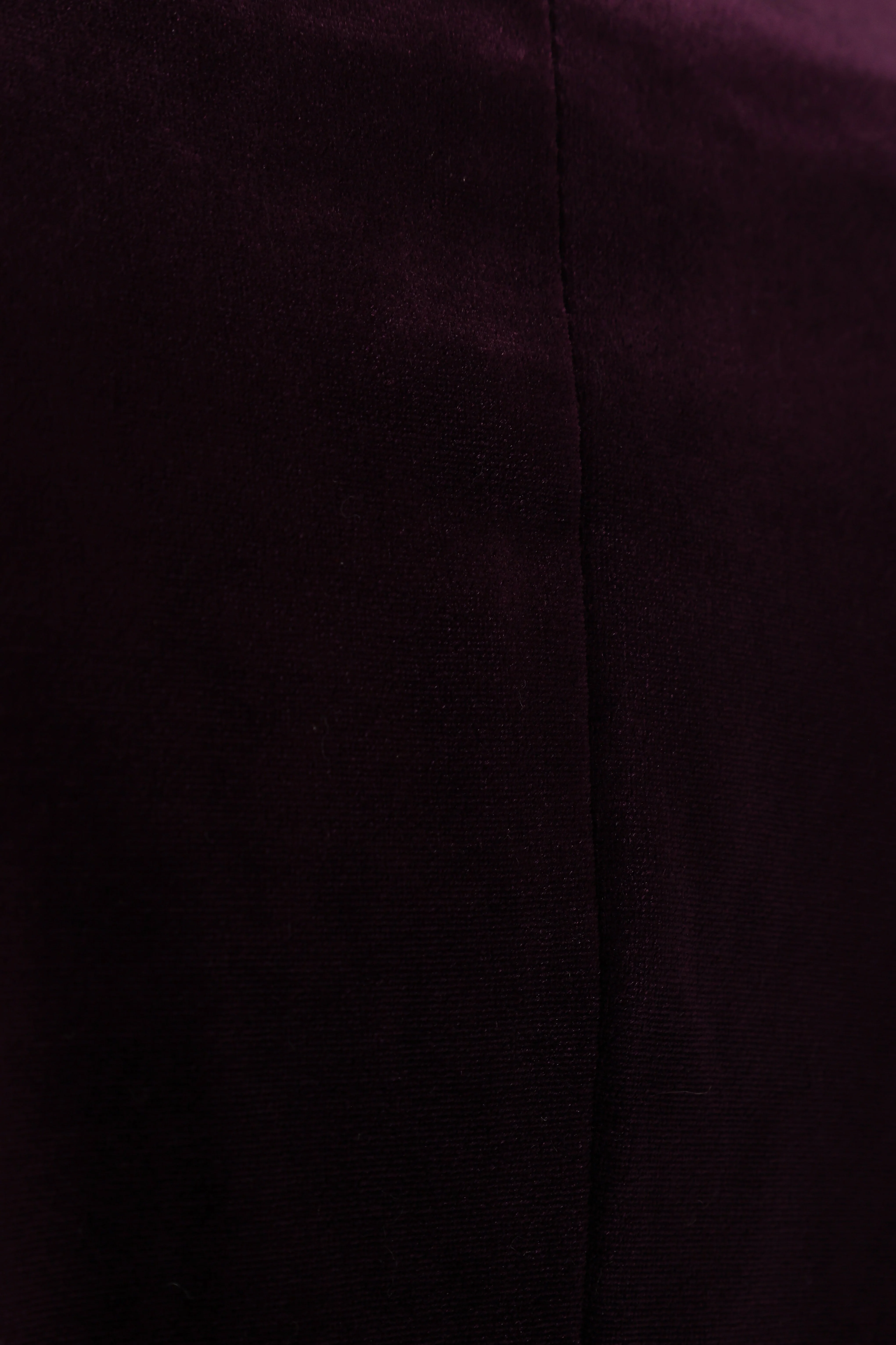 Vera Velvet Blazer - Plum