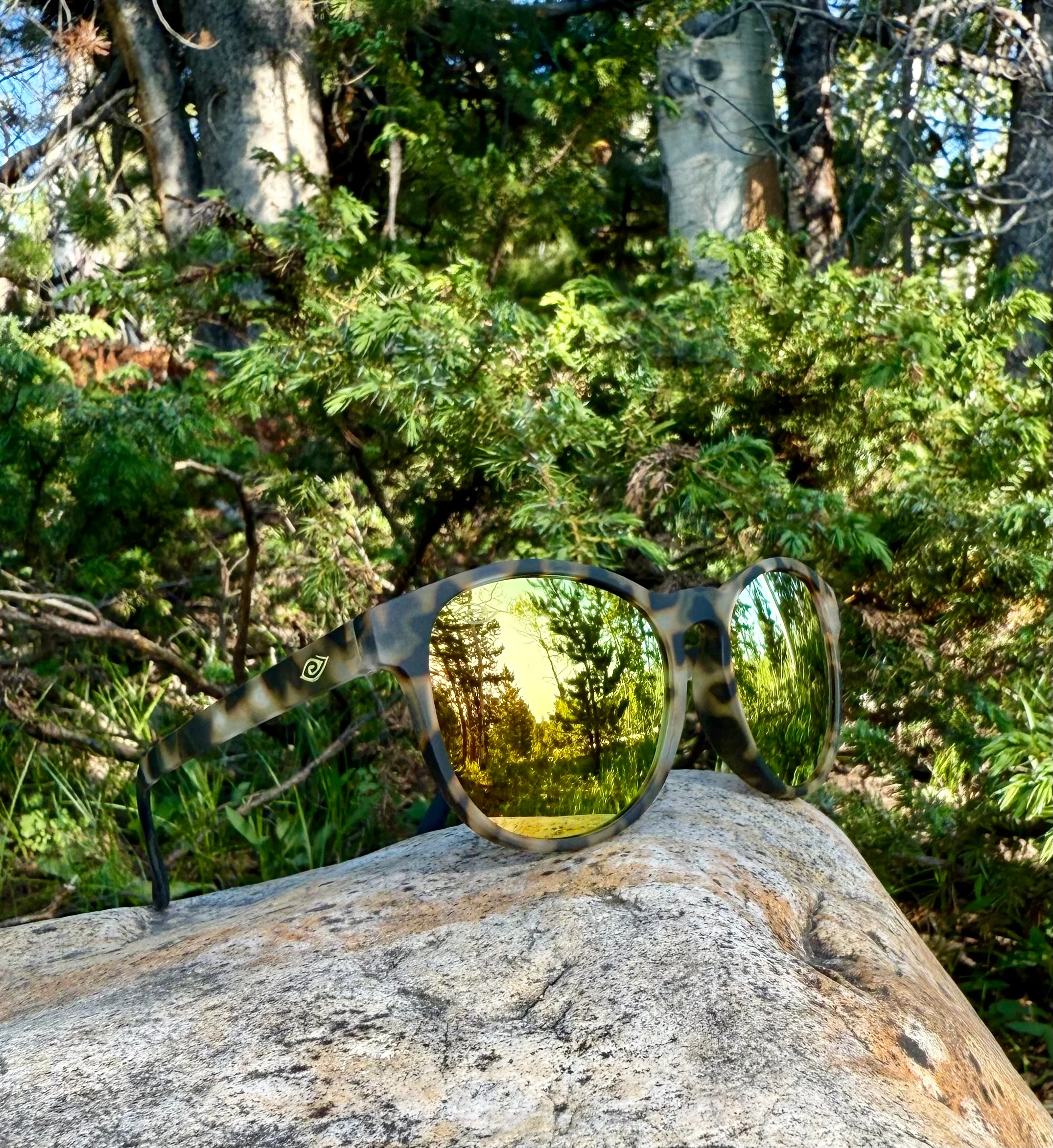 💛 Lennon's – Day Tripper