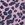 Onzie High Rise Bike Shorts