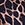 Onzie High Waisted Yoga Leggings Giraffe