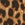 Buddha Pants Leopard Jumper