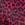 Onzie High Rise Bike Shorts