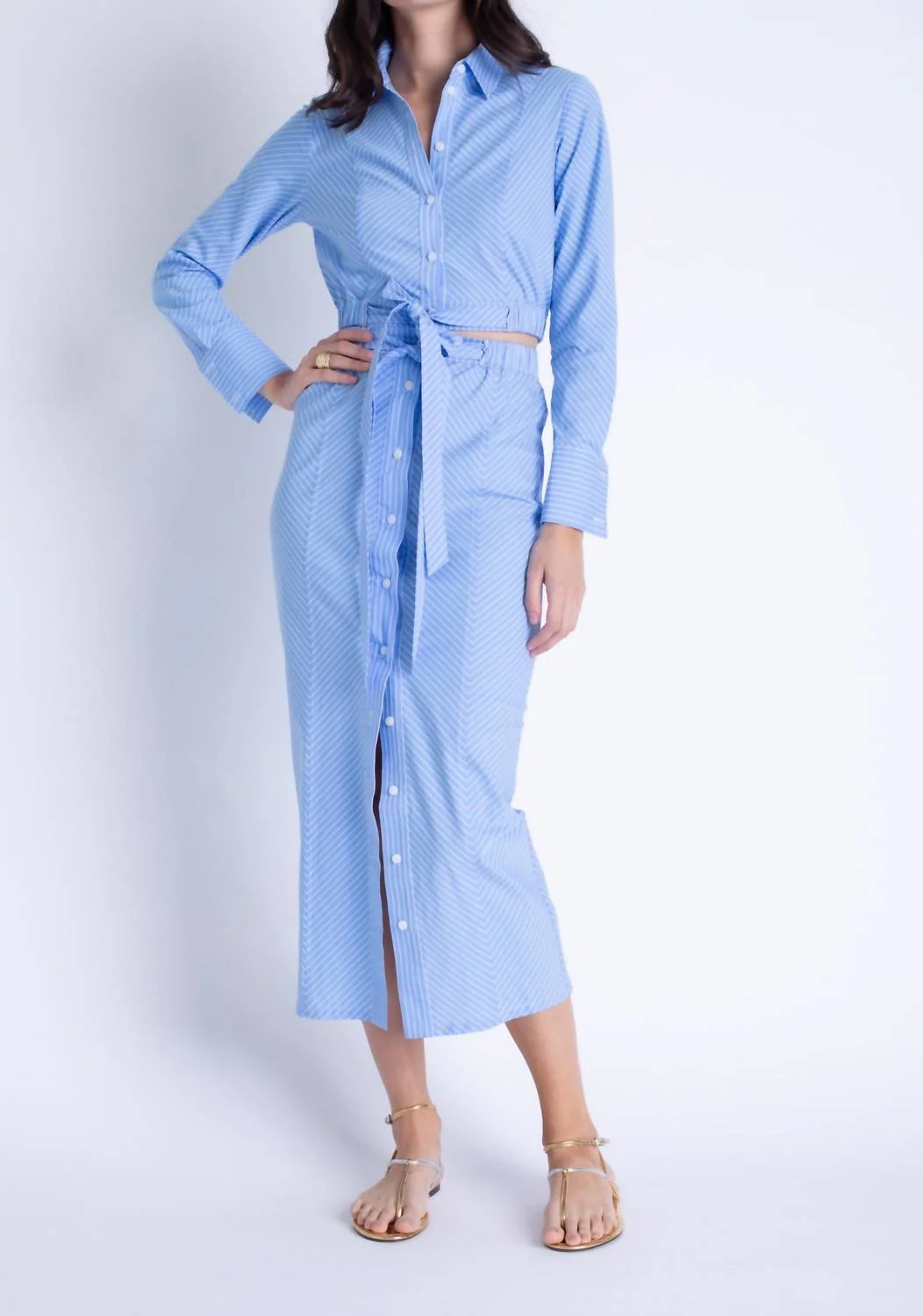 Lila Midi Skirt In Blue Pinstripe