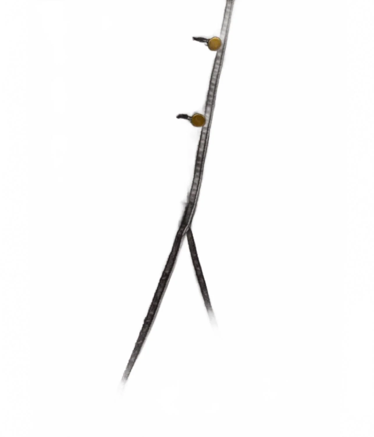 Women's Button Front Stretch Denim Midi Skirt In Grey Wash