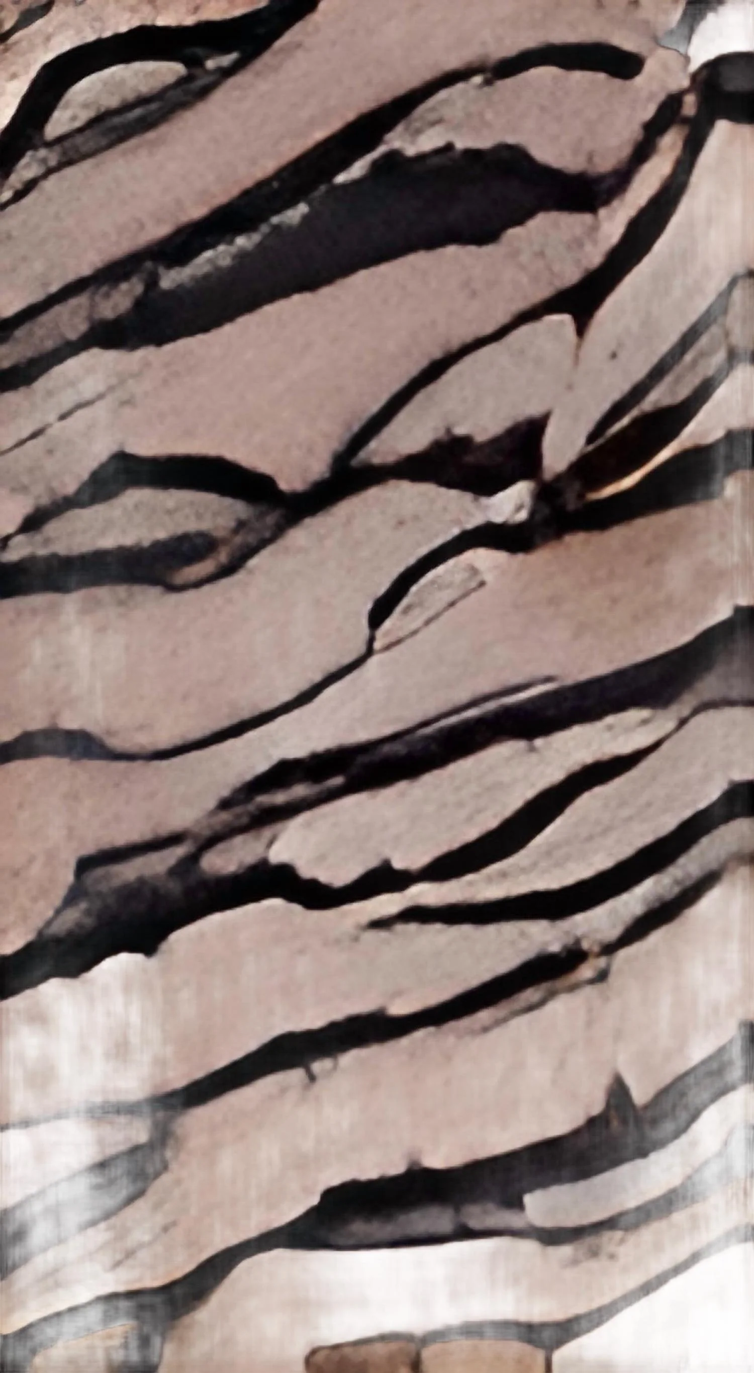 Women Rue Satin Pants In Zebra