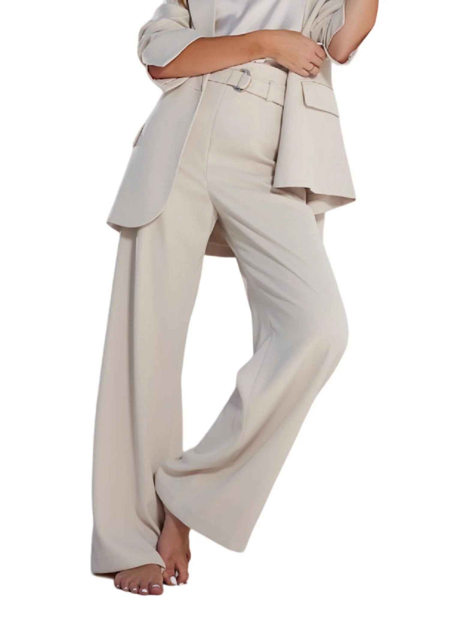 Dolan D-Ring Pant In Almond