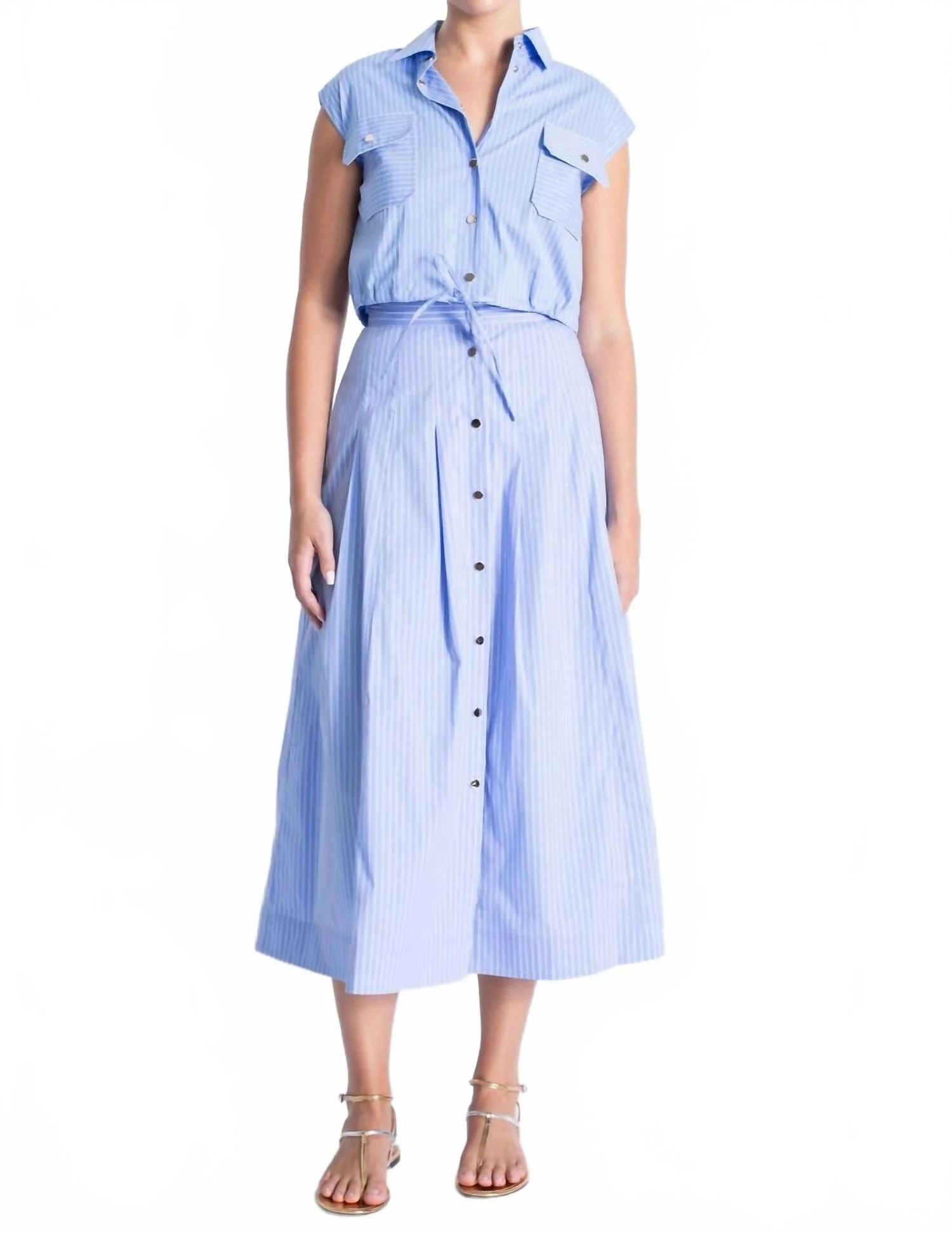 Eden Button-Down Skirt In Blue Stripes