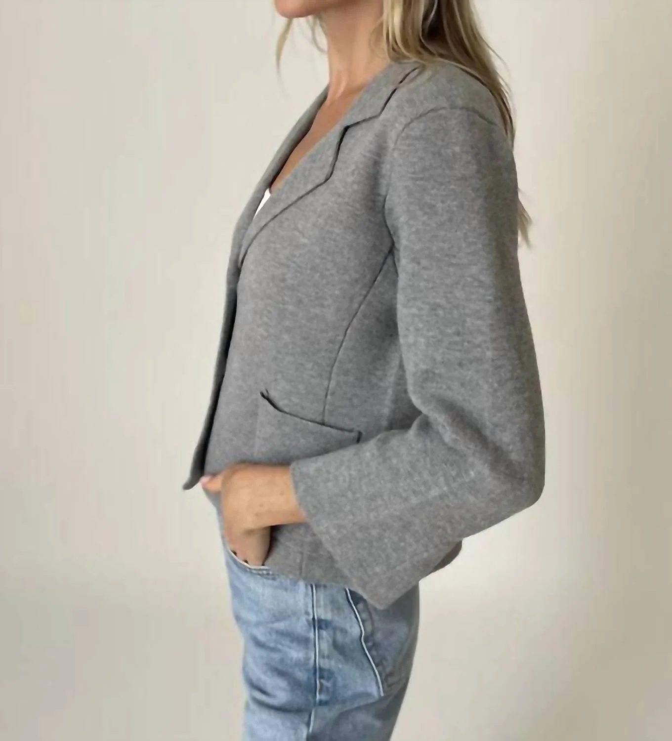 Louisa Sleeve Knit Blazer In Heather Grey