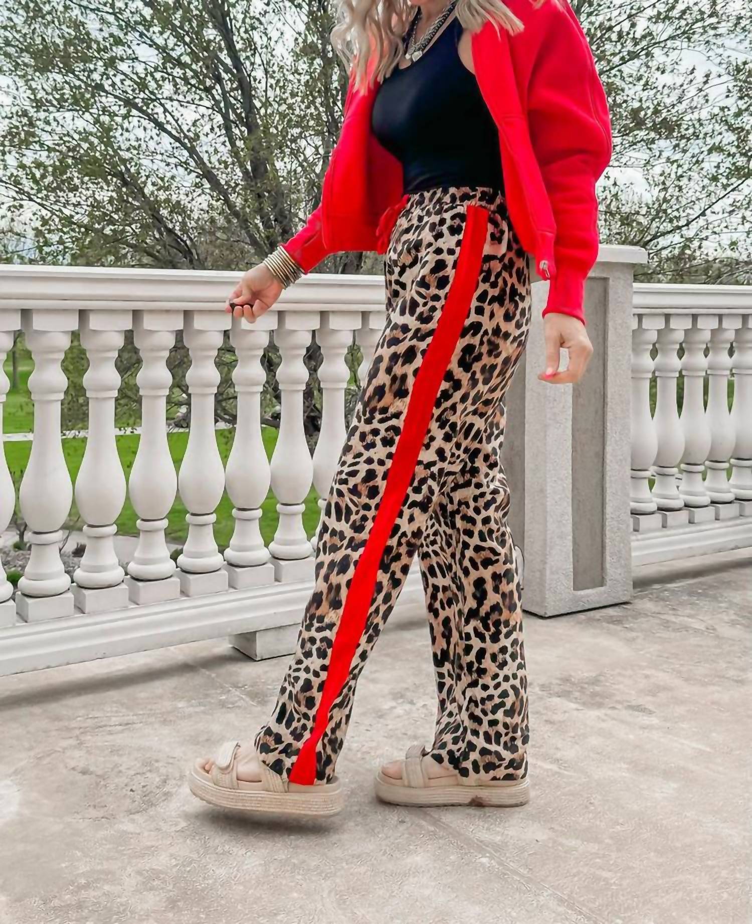 Leopard Printed Stripe Side Track Pants In Animal