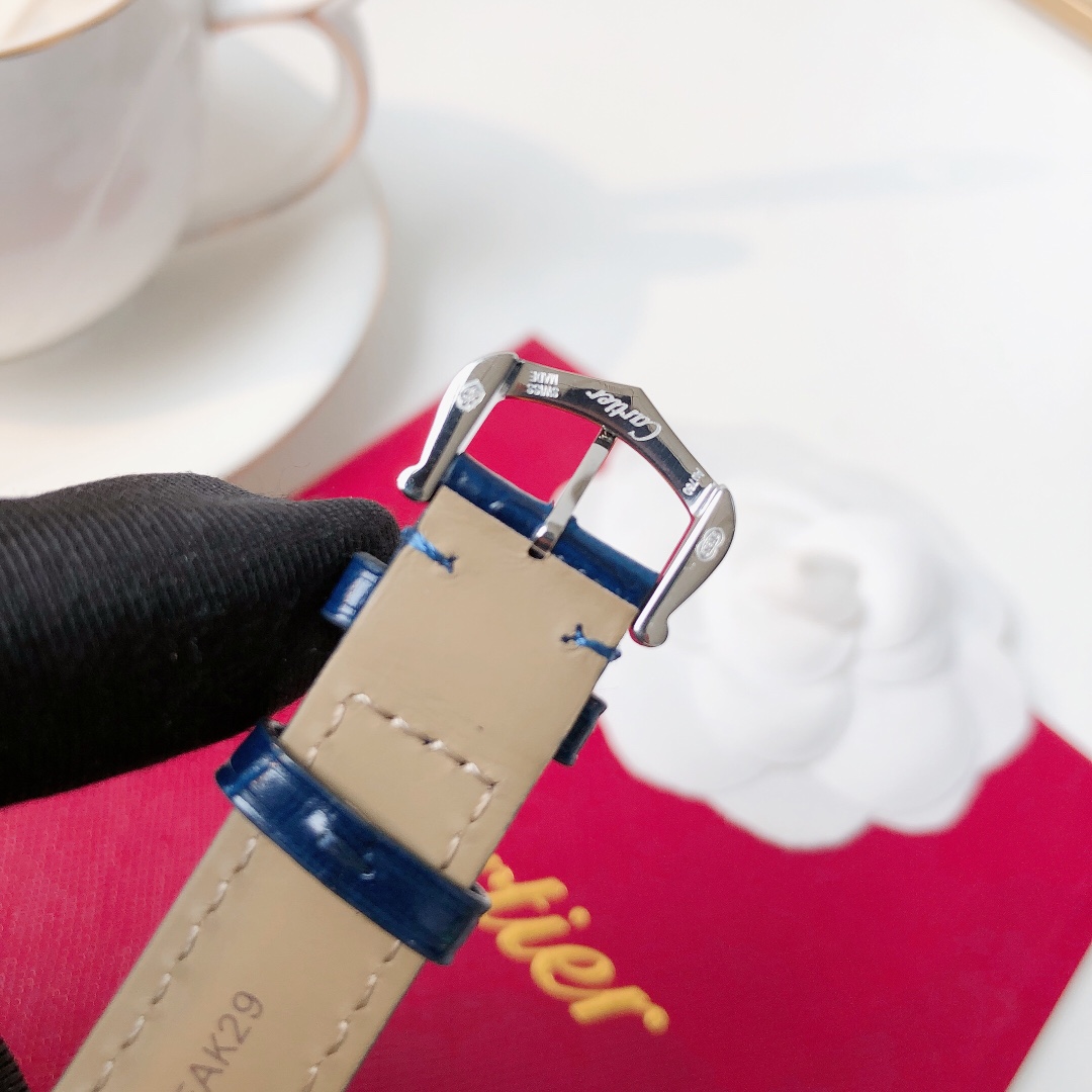 Santos Demoisell Santos Platinum Diamonds - Stainless Steel Mini(1:1 replica)