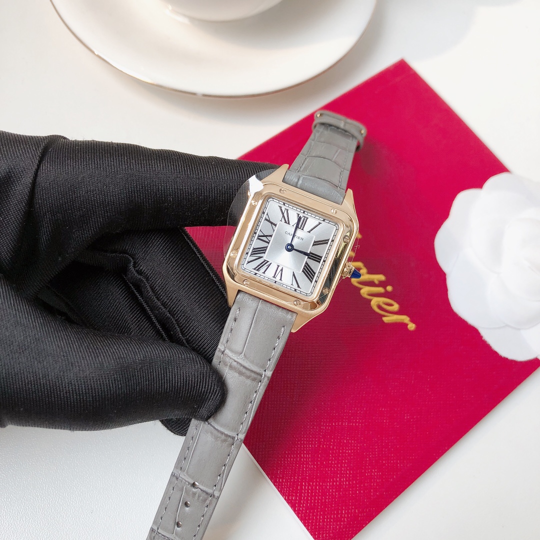 Santos Demoisell - Stainless Steel Mini - Grey Gold(1:1 replica)