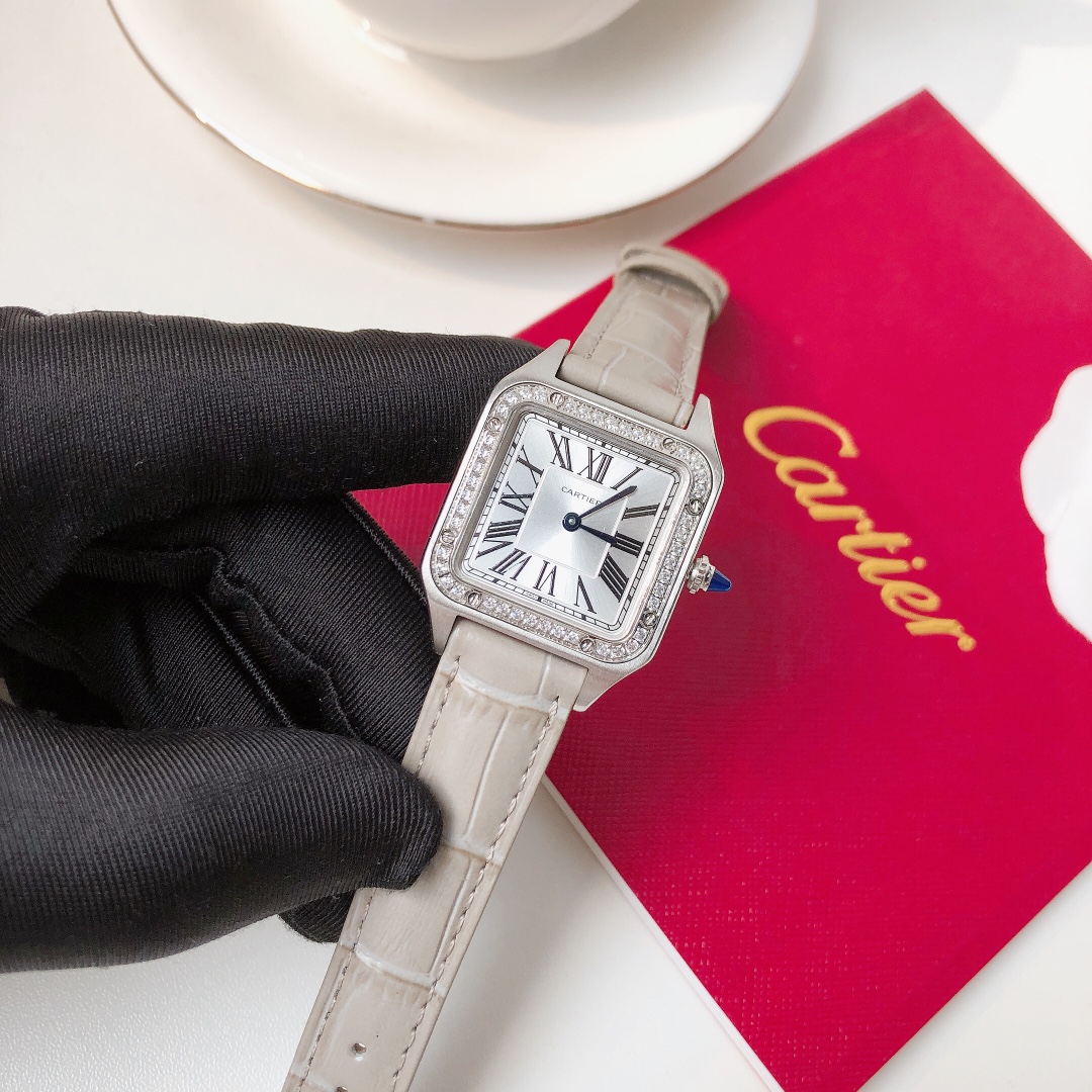 Santos Demoisell Santos Platinum Diamonds - Stainless Steel Mini(1:1 replica)