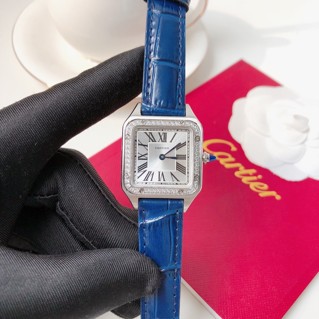 Santos Demoisell Santos Platinum Diamonds - Stainless Steel Mini(1:1 replica)