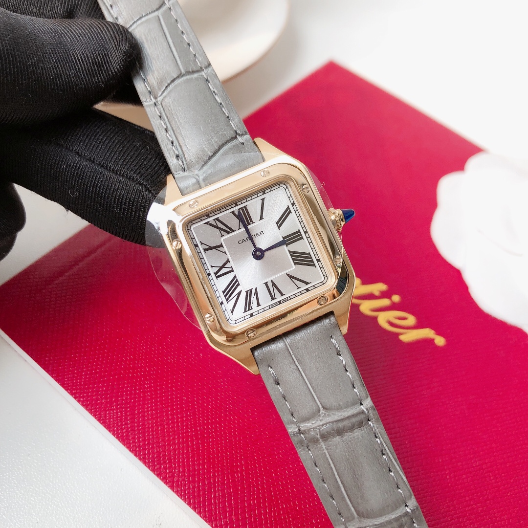 Santos Demoisell - Stainless Steel Mini - Grey Gold(1:1 replica)