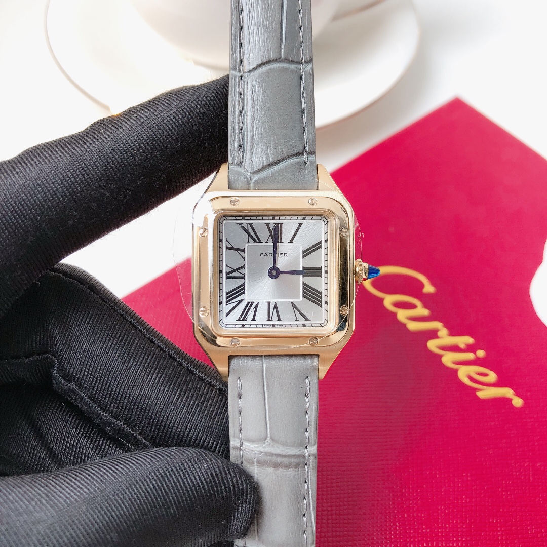 Santos Demoisell - Stainless Steel Mini - Grey Gold(1:1 replica)
