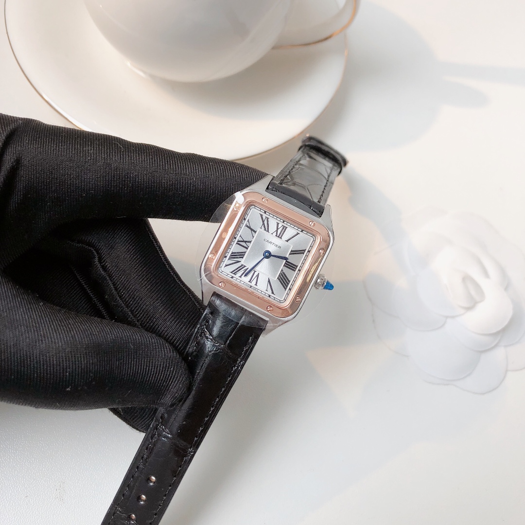Santos Demoisell Santos Collection - Stainless Steel Mini Black(1:1 replica)