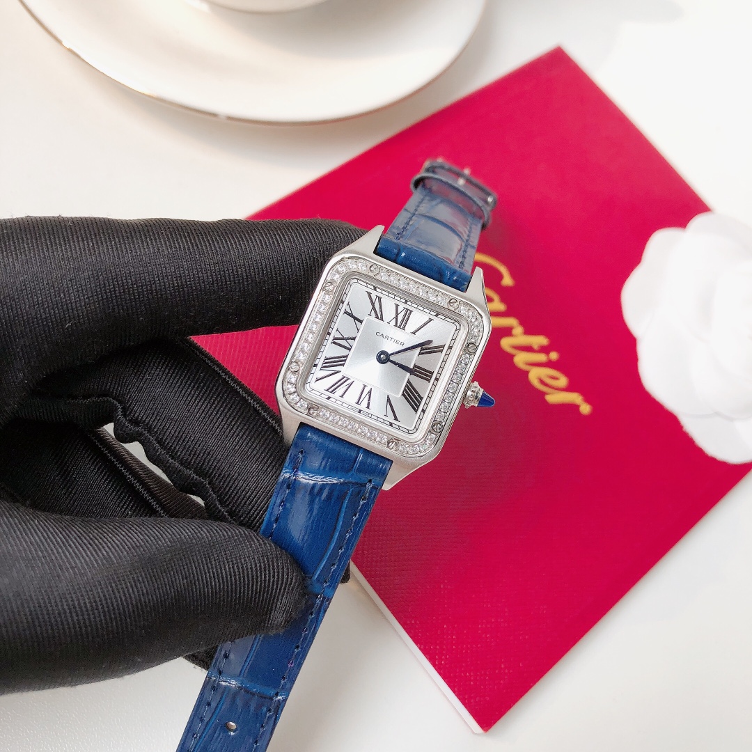 Santos Demoisell Santos Platinum Diamonds - Stainless Steel Mini(1:1 replica)