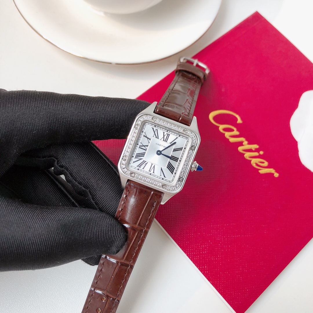 Santos Demoisell Santos Platinum Diamonds - Stainless Steel Mini(1:1 replica)