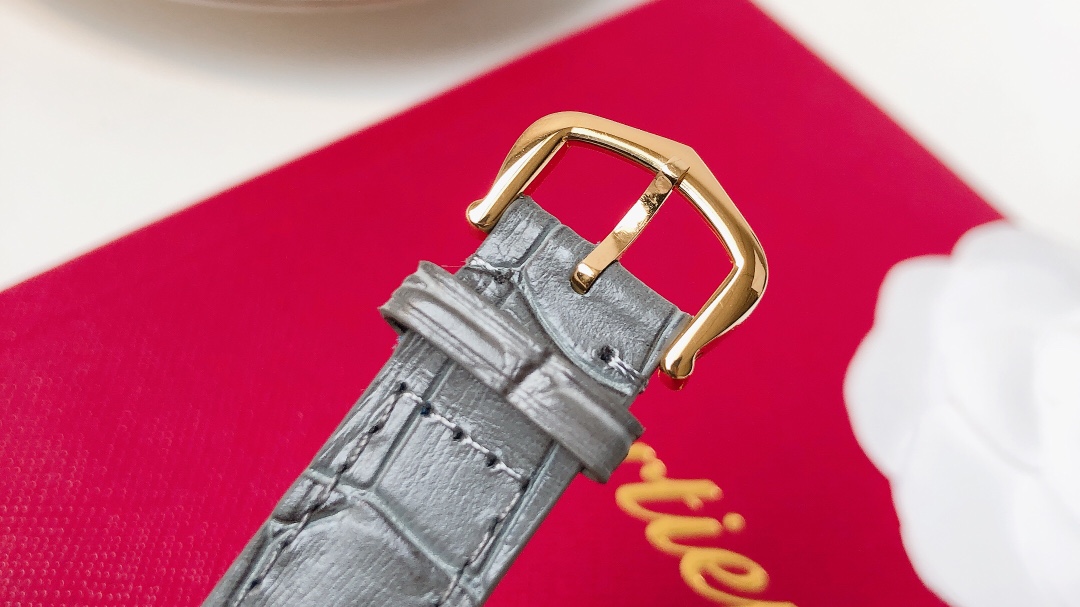 Santos Demoisell - Stainless Steel Mini - Grey Gold(1:1 replica)