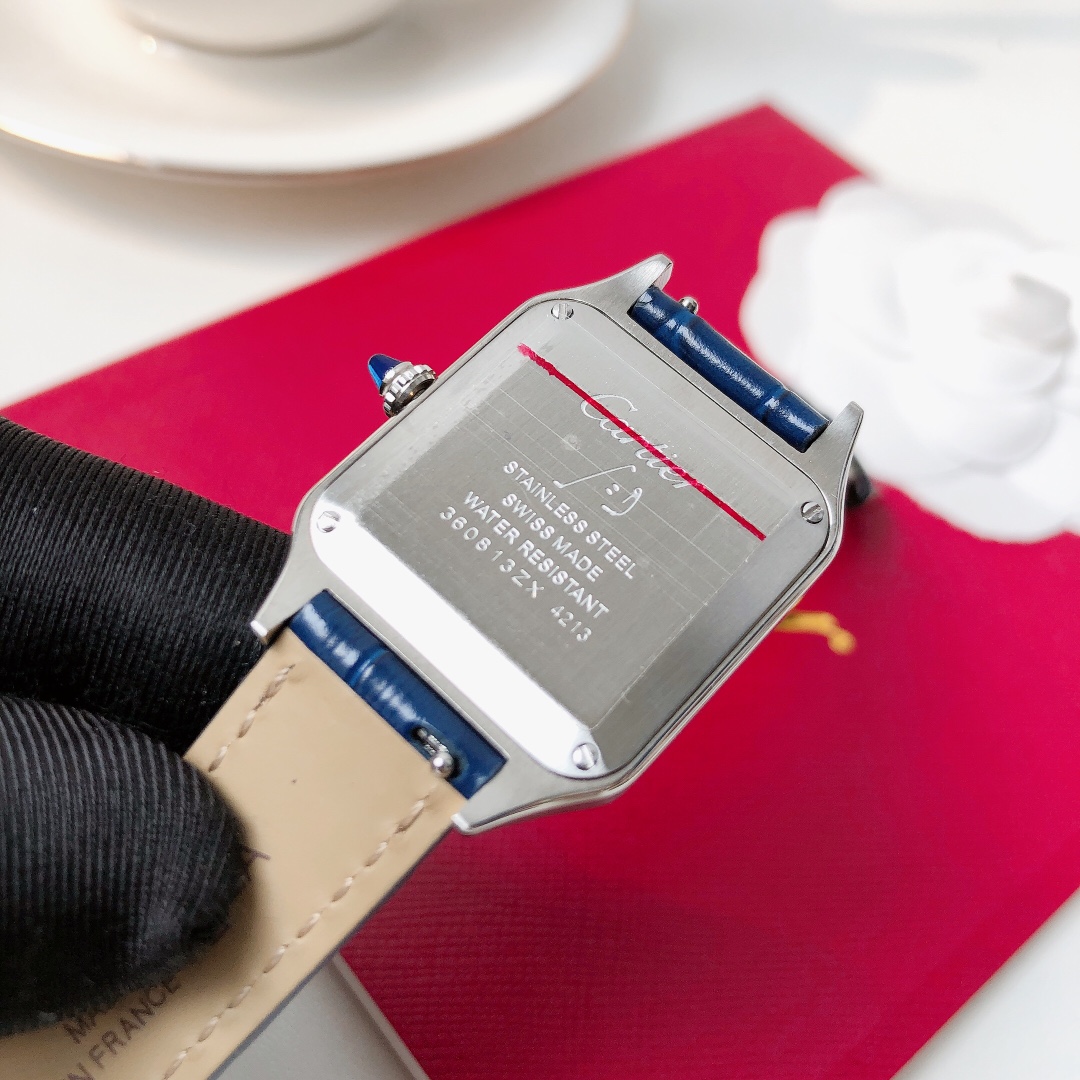 Santos Demoisell Santos Platinum Diamonds - Stainless Steel Mini(1:1 replica)