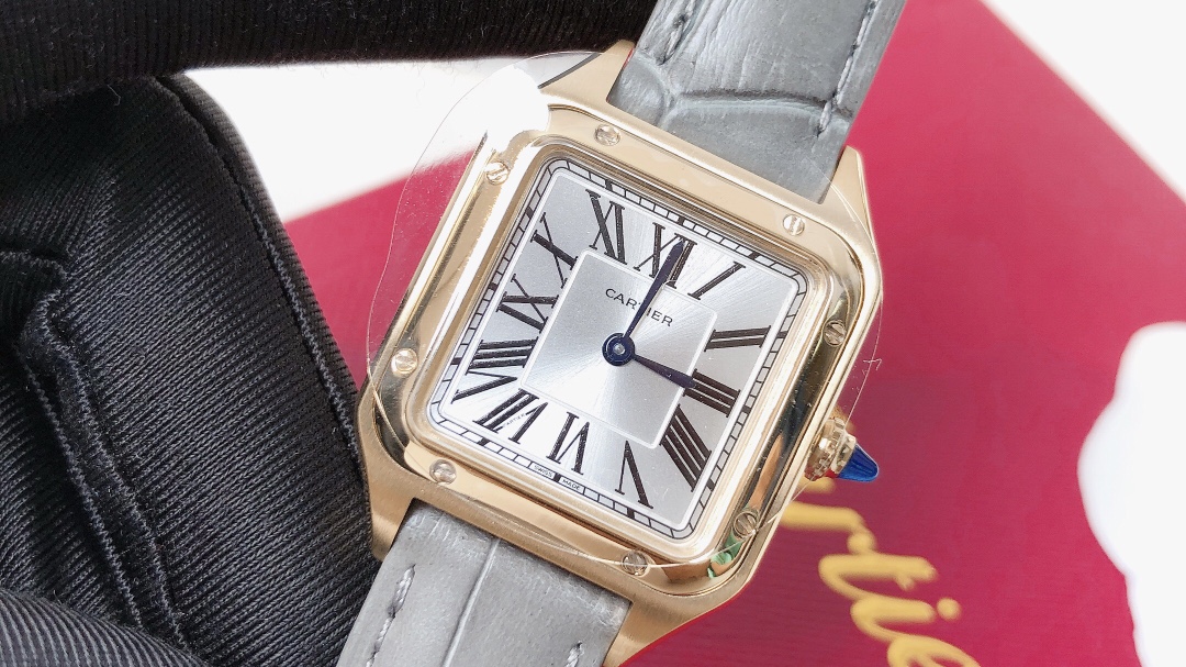 Santos Demoisell - Stainless Steel Mini - Grey Gold(1:1 replica)