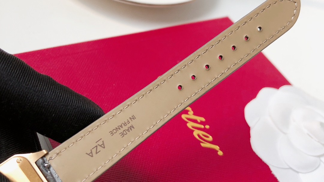 Santos Demoisell - Stainless Steel Mini - Grey Gold(1:1 replica)