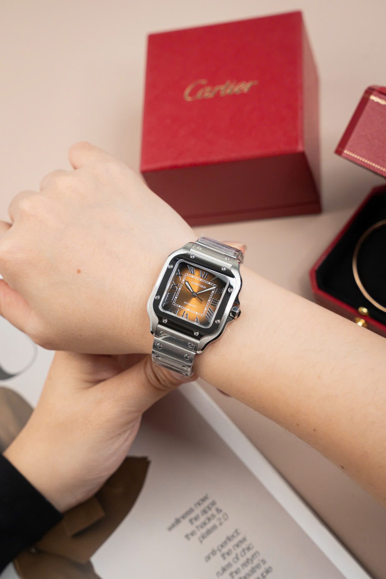 Cartier Santos WSA0065 Replica Watch Women Dial Brown BV Factory 35mm