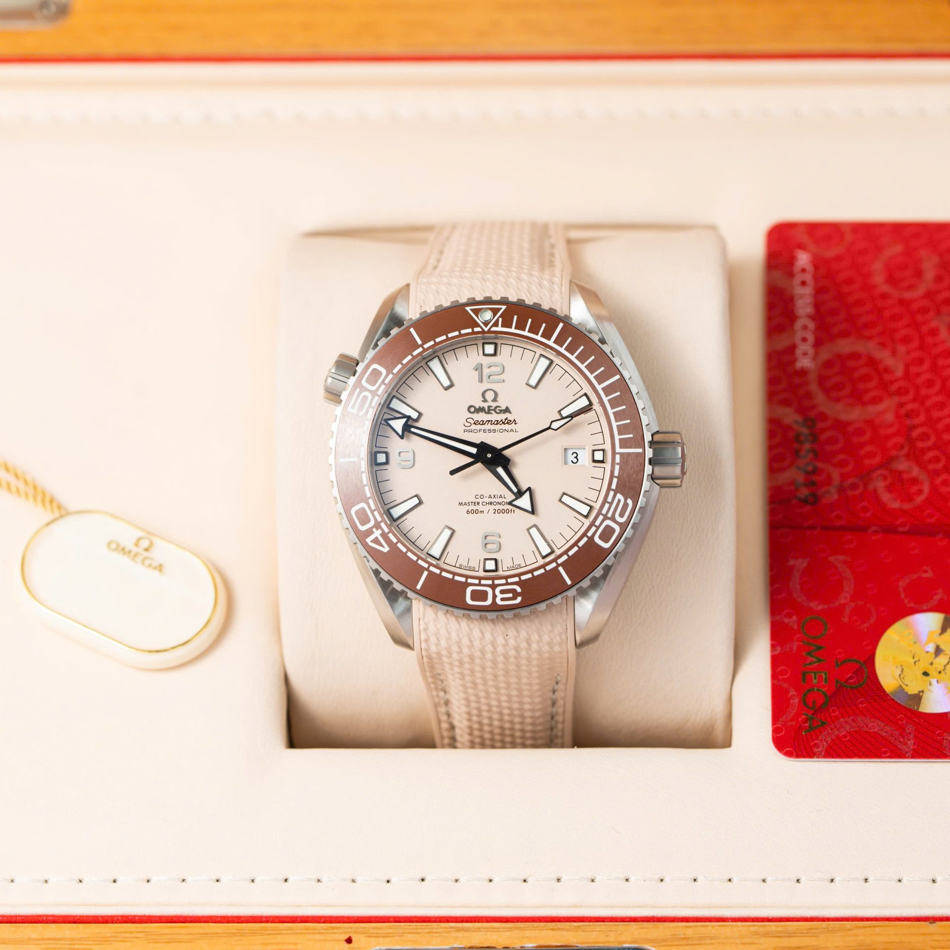 Omega Replica 1:1 Watch Planet Ocean 600M High Quality VS Factory 43.5mm
