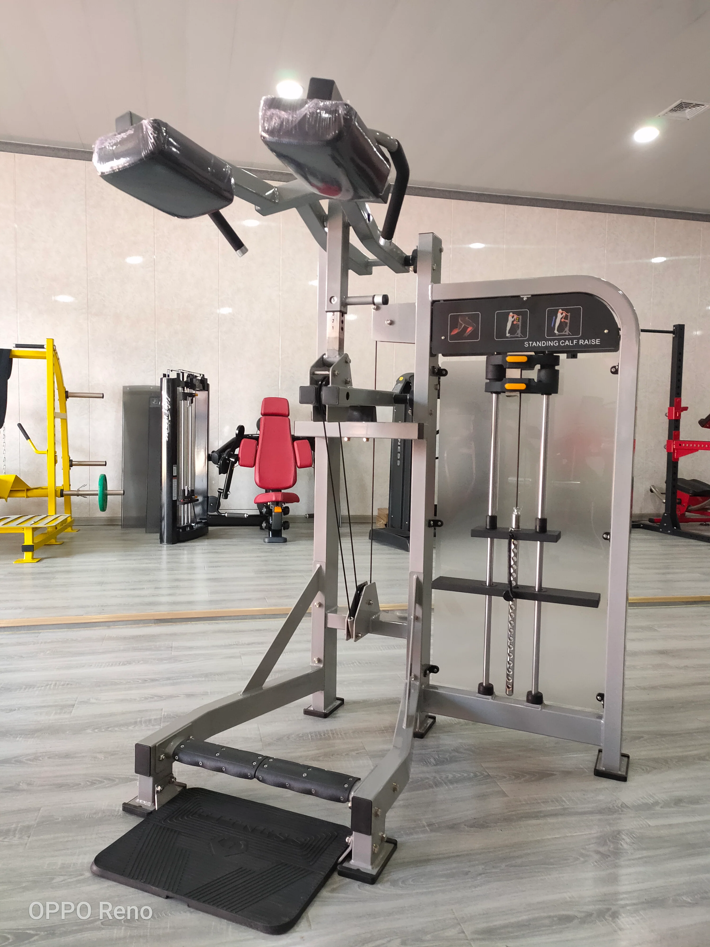Pro-Line Series Standing Calf Raise Machine