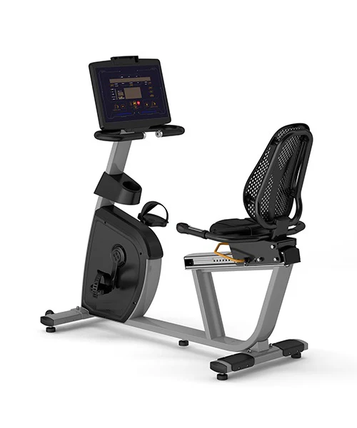 Life Trek Recumbent Bike Self Generating.