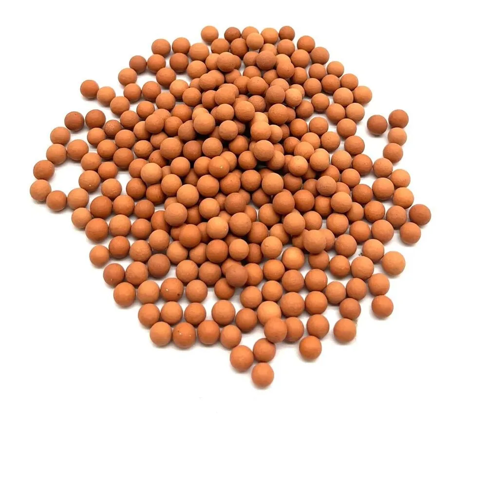 Bille Pommeau De Douche