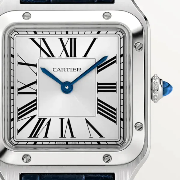 CARTIER SANTOS-DUMONT Small Model Blue Strap WSSA0023
