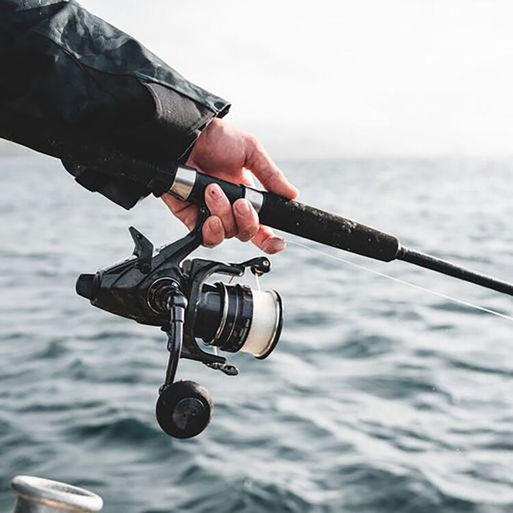 Daiwa Free Swimmer BR 10000 Spinning Reel