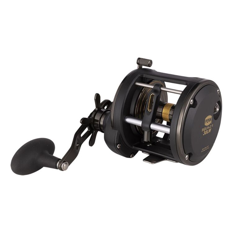 Penn Squall II Level Wind Overhead SQL30LW Reel Multicoloured