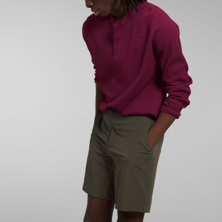 The North Face Men's Paramount Shorts Taupe Green