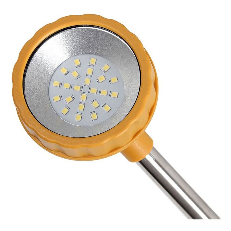 Shell Lumi Prawn Light Orange