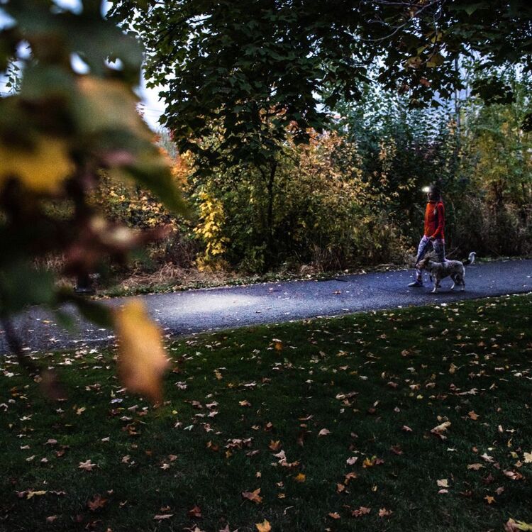 LED Lenser HF4R Core 500 Lumen Rechargeable Headlamp 500 Lumens