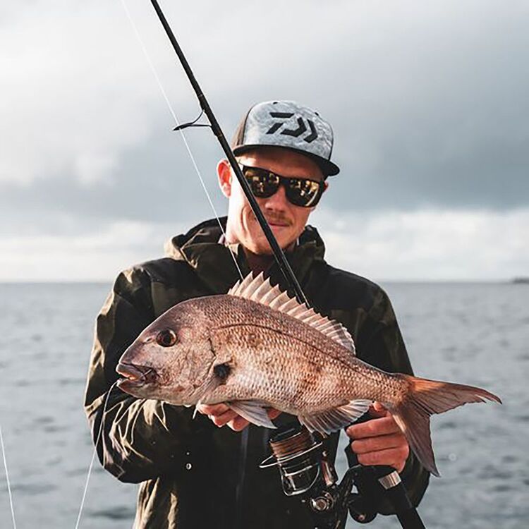 Daiwa Free Swimmer BR 8000 Spinning Reel