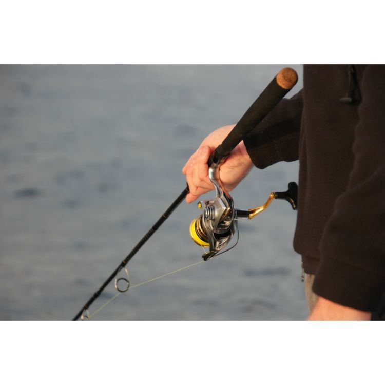 Shimano Sedona XT 7' 2pc 3-6kg 3000 Spin Combo