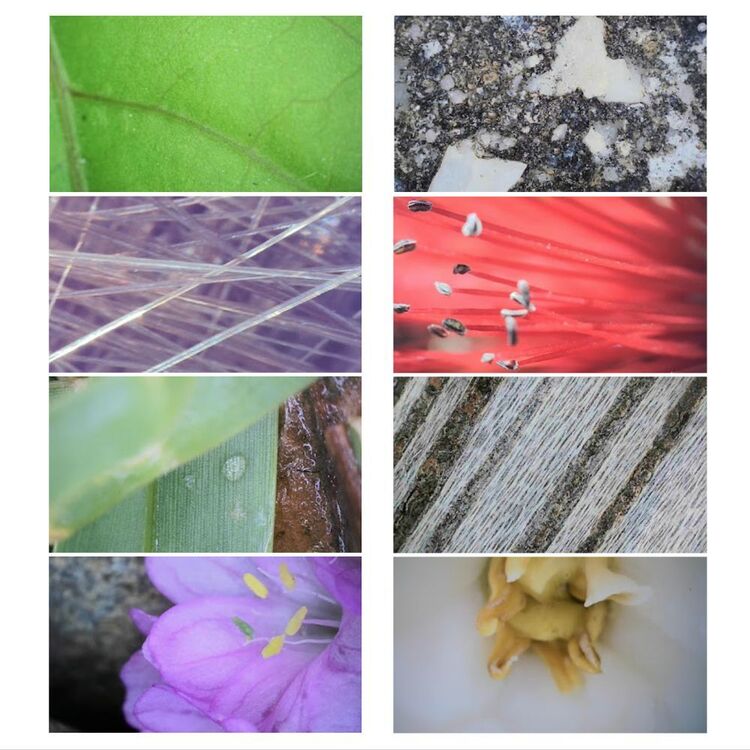 BEAVERLAB Smart Digital Microscope Kit White