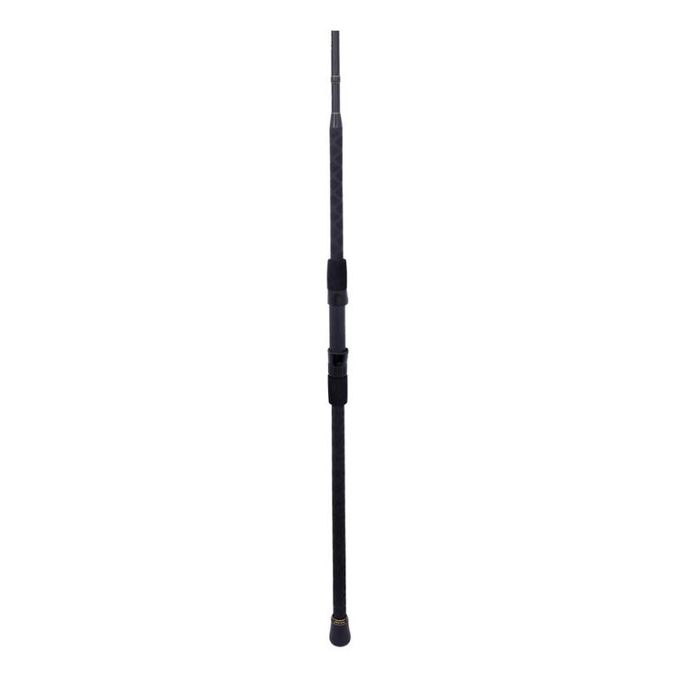Penn Allegiance III 12' 2pc 12-20kg Surf Rod
